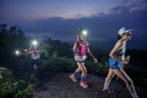 BIB: 
                            <button type="button" onclick="openModal(24814933)" class="btn btn-primary btn-sm float-right btn-popup" data-toggle="modal" data-target=".modal-high-quality">
                        <i class="fas fa-shopping-cart"></i> Add to Cart
                    </button>
                                            <button type="button" onclick="isThisMe(24814933, true)" class="btn btn-success btn-sm float-right btn-popup btn-isme hidden" data-toggle="tooltip" data-placement="bottom" title="นี่คือรูปของคุณใช่ไหม คลิกที่นี่เพื่อเอาเข้าอัลบั้ม">
                        <i class="fas fa-plus"></i> Add to album
                    </button>
                    <button type="button" onclick="isThisMe(24814933, false)" class="btn btn-warning btn-sm float-right btn-popup btn-isnotme hidden">
                        <i class="fas fa-ban"></i> Remove from album
                    </button>